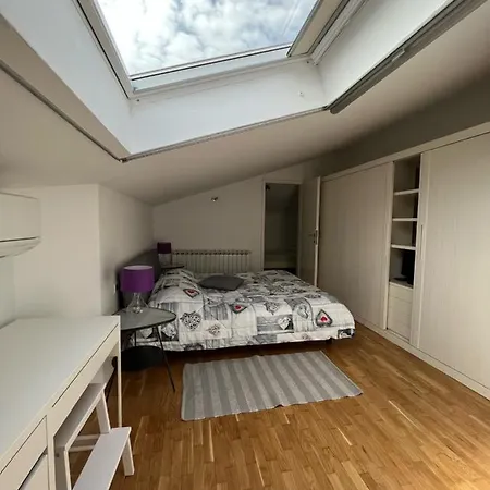 Orange Tree Порторож