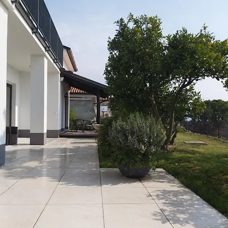 Orange Tree * Portoroz