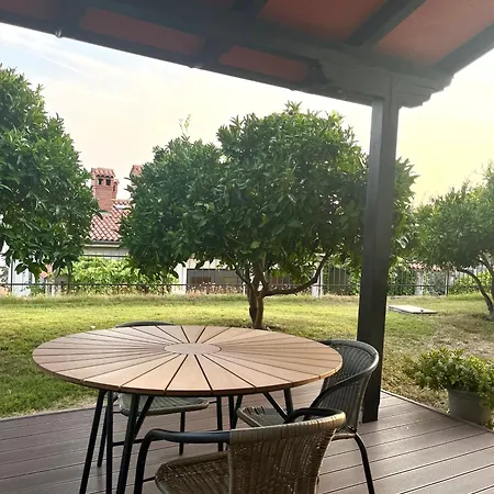 Апартаменты Orange Tree *