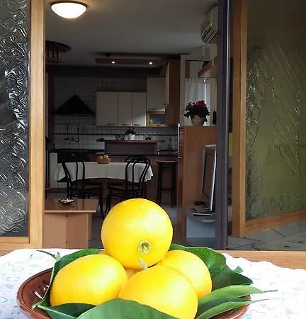 Апартаменты Orange Tree Порторож