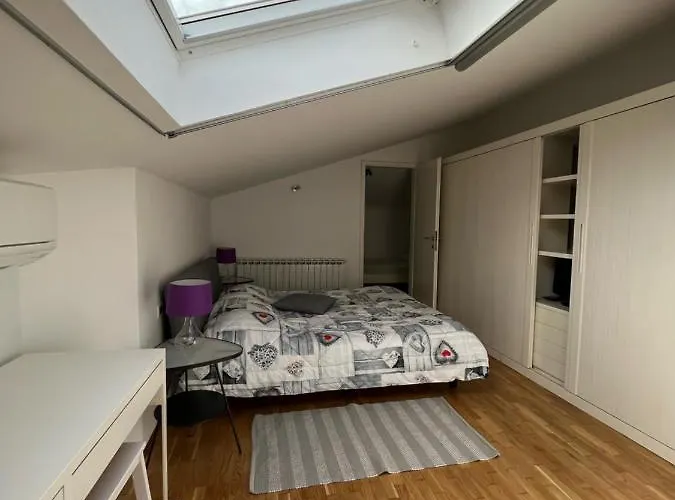 Orange Tree 포르토로즈