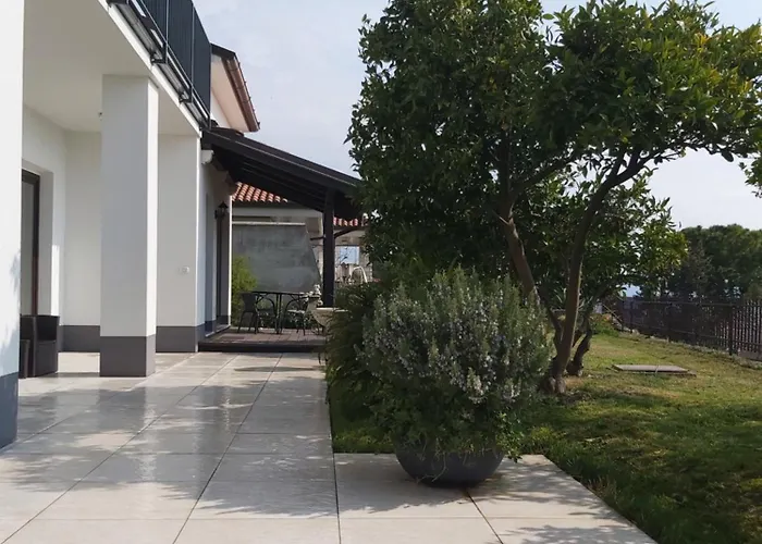 Orange Tree * 波尔托罗