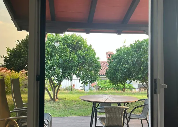 아파트 Orange Tree