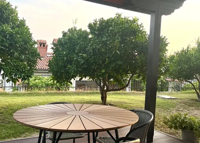 公寓 Orange Tree *