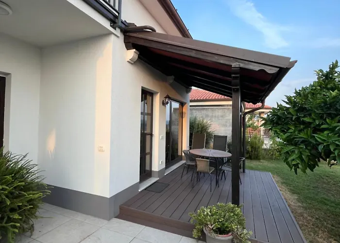 Orange Tree * 포르토로즈