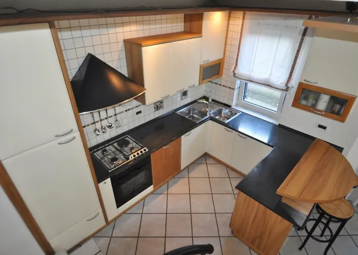 Orange Tree * 波尔托罗